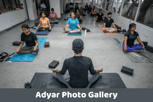 Out Door yoga classes in Chennai