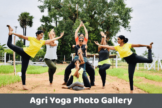 yoga classes in Chennai