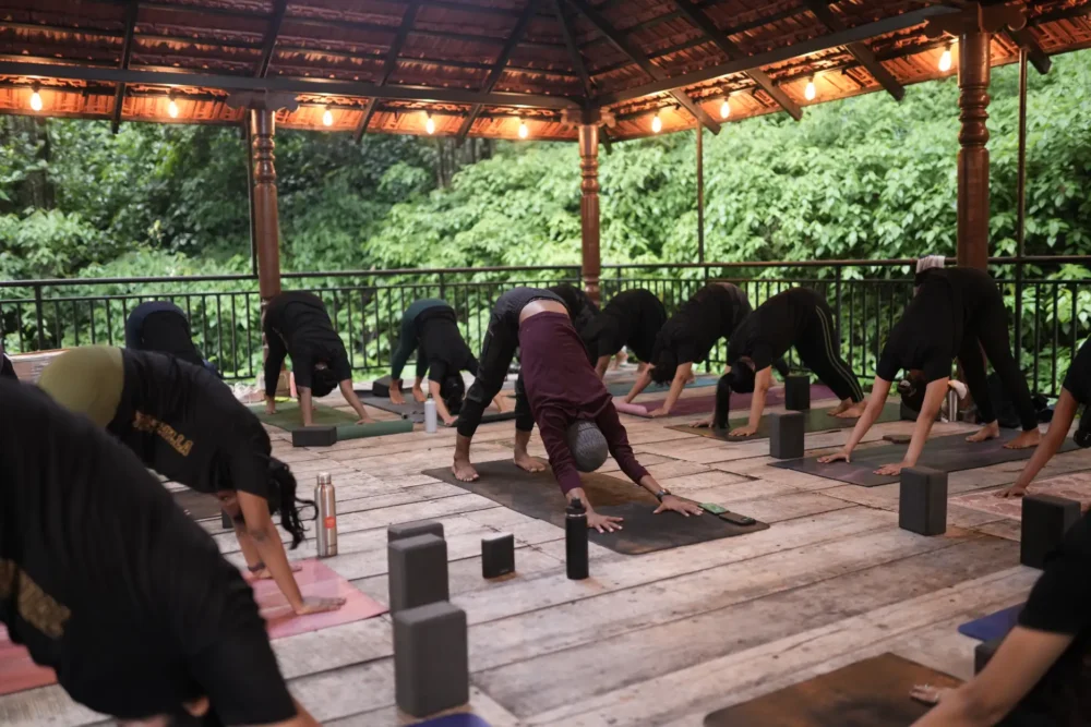 Beginner-friendly online yoga 2026